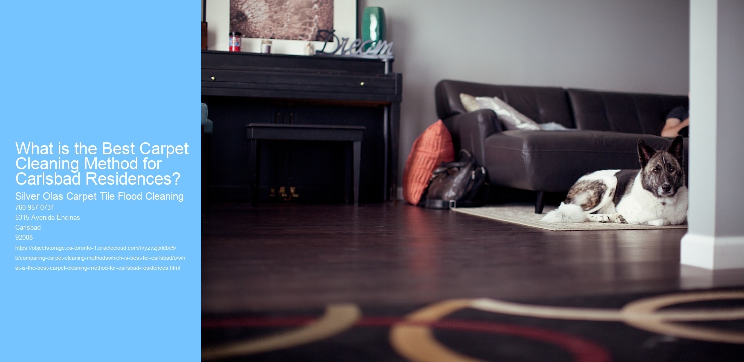 What is the Best Carpet Cleaning Method for Carlsbad Residences?