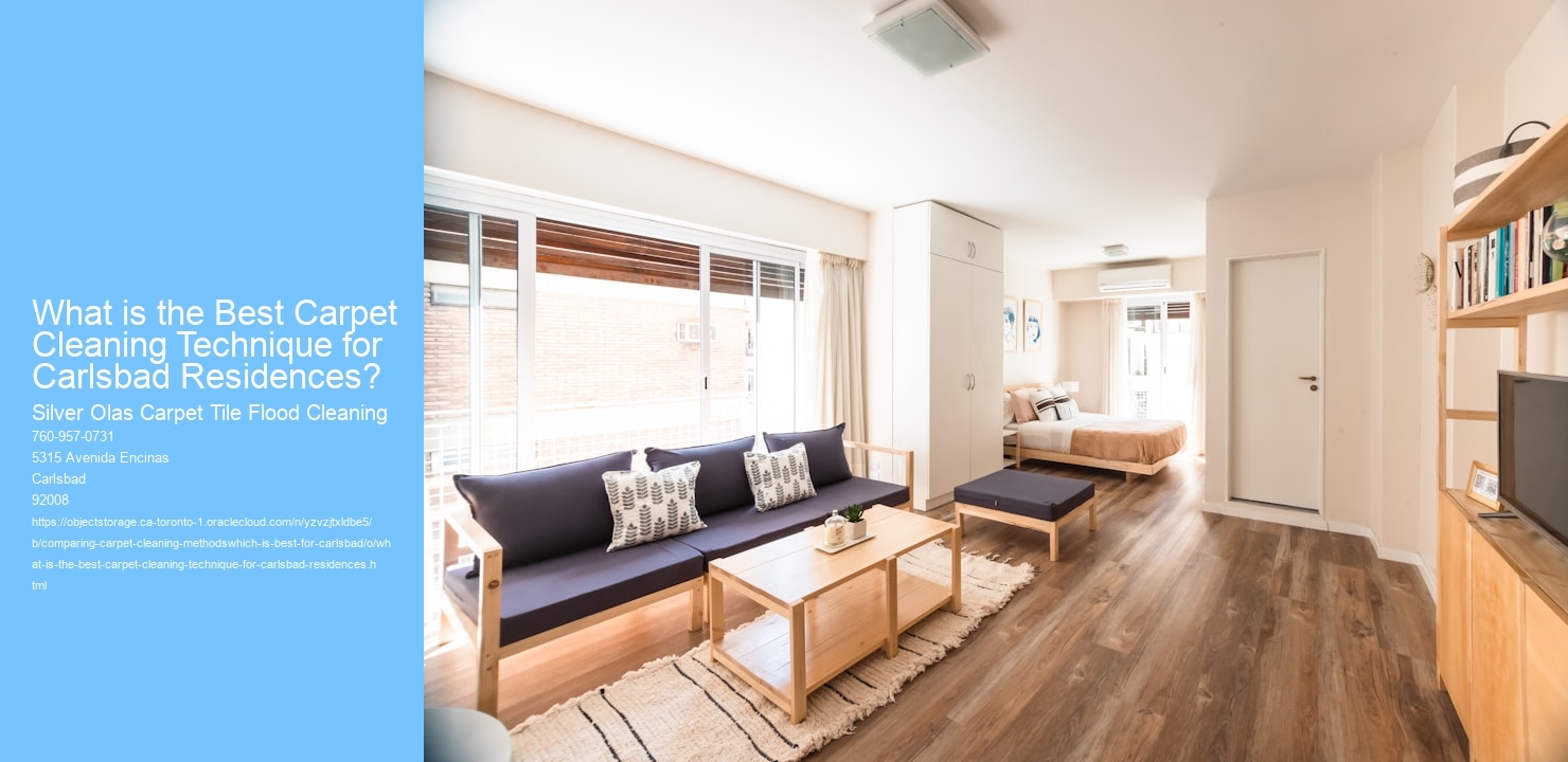 What is the Best Carpet Cleaning Technique for Carlsbad Residences?