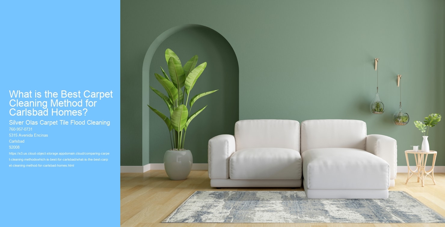 What is the Best Carpet Cleaning Method for Carlsbad Homes?