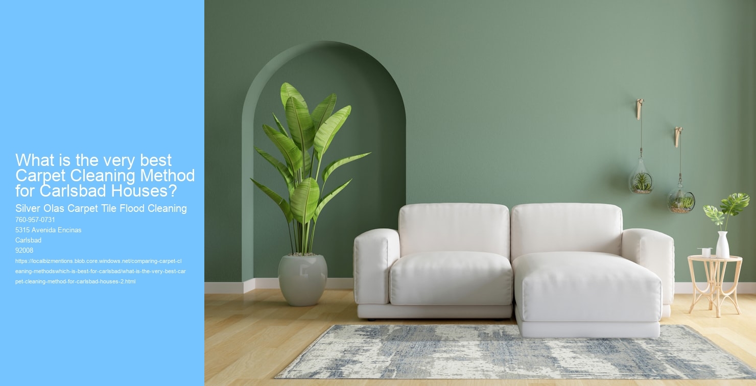 What is the very best Carpet Cleaning Method for Carlsbad Houses?